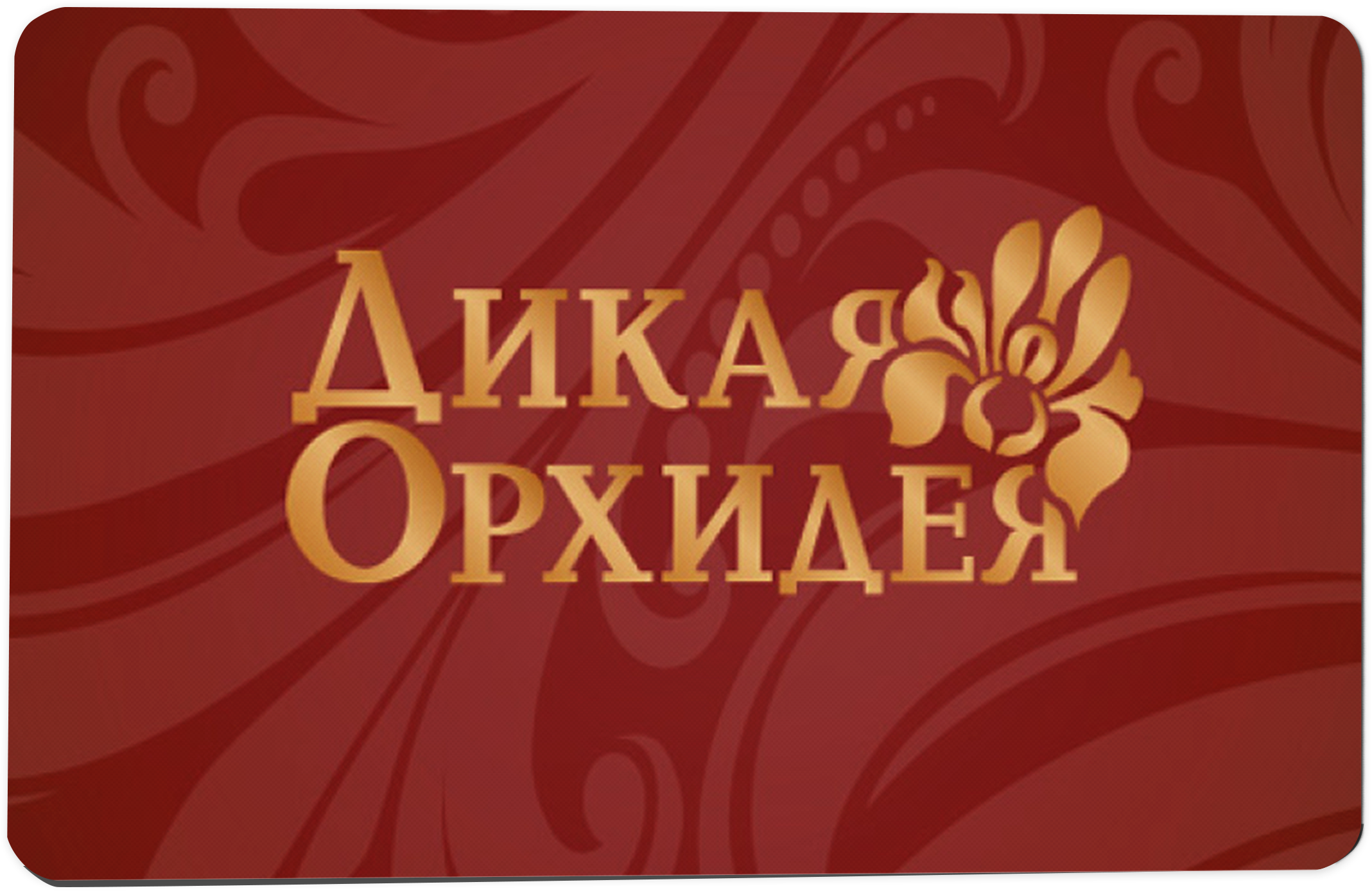 Подарочный сертификат Дикая Орхидея